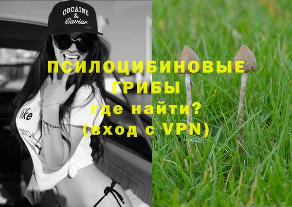 спайс Баксан